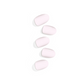 "Rose bb cream